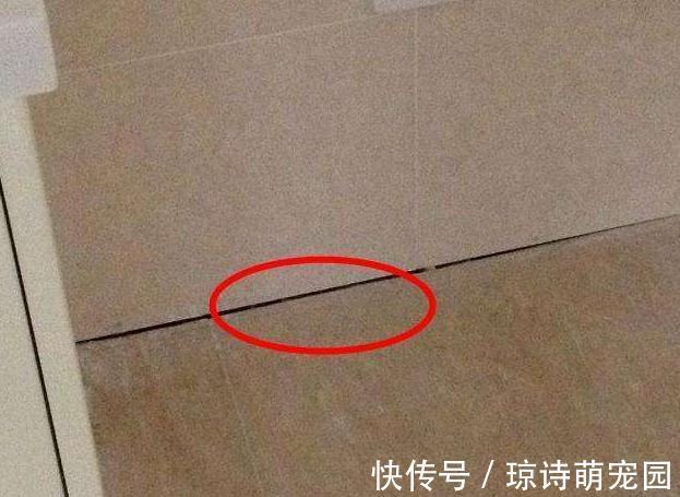 吸水率|瓷砖选购套路太多，别胡乱买！拿好这份指南，砍价商家得让你三分