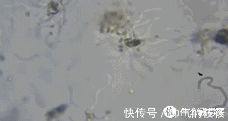 pps|家里的这4样东西迟早会被时代淘汰,别心疼,该扔就扔,该换就换!