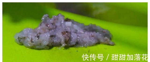 孩子光吃不长个,多给宝宝这样吃,补钙又补锌,长个又长大脑!