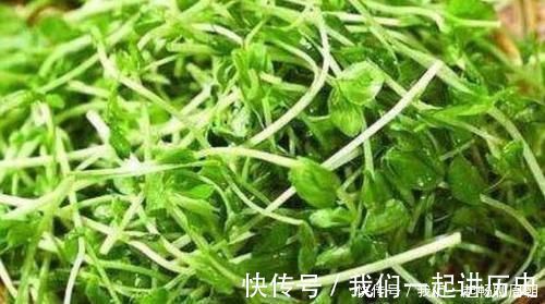 营养物质|人到中年，要学会吃三种食物，排毒润肤，延缓衰老，增强皮肤弹性