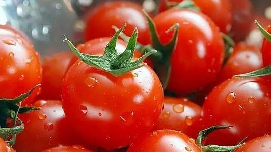 番茄|很好吃的3种食物,排毒养颜,延缓衰老,谁吃谁受益