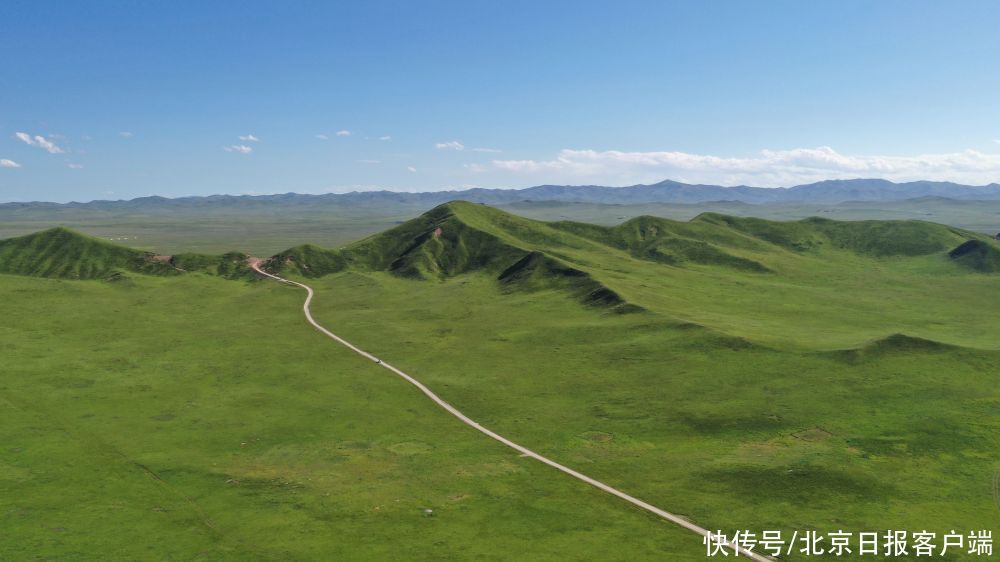 蘑菇|“越鲜艳越有毒”？野蘑菇民间“验毒偏方”不可信