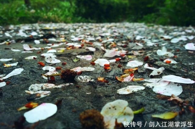 心情|八首诗词,八种眼泪哪一种,是你曾经的心情