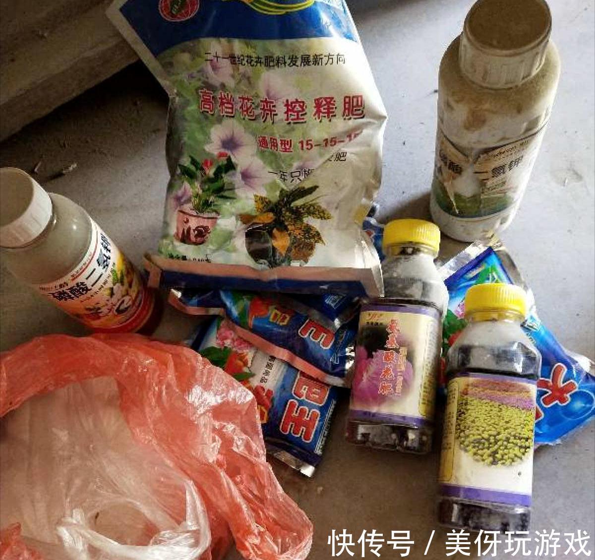 养花肥“又杂又贵”？认清3元素，花几块钱，养一百种花