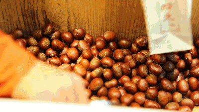 板栗|秋冬补肾吃什么好？中医给你举个“栗子”