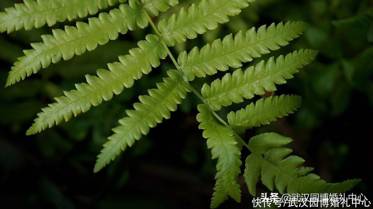 温柔|温情顾家、居家能力很强的星座男，会过日子，不愁没人爱