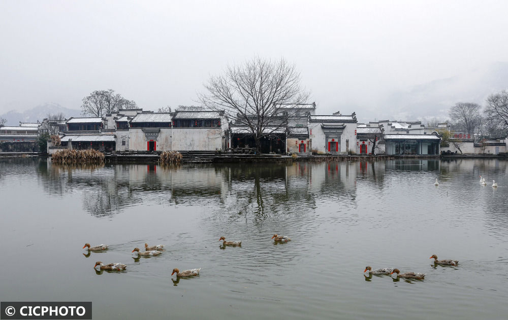 杨韬|二月春寒雪满山 稚子游人嬉雪欢