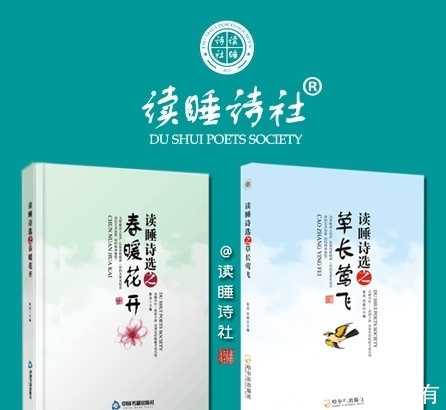 读首诗!读首诗再睡觉|我多次从这木棉树下经过,夕阳只是借过一种唯美