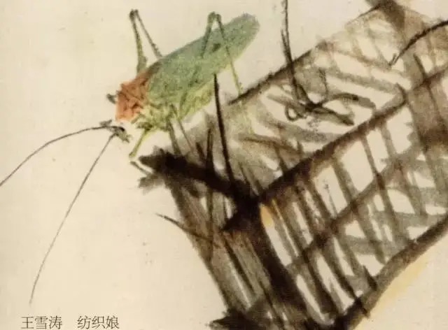 蝈蝈$国画技法图典——草虫篇:蝗虫 蚂蚱 蝈蝈 螽斯 螳螂 蟋蟀