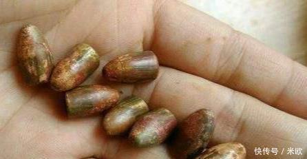 西德|谁杀了约瑟夫.舒尔茨 二战后困扰西德和南斯拉夫的一桩历史谜案!