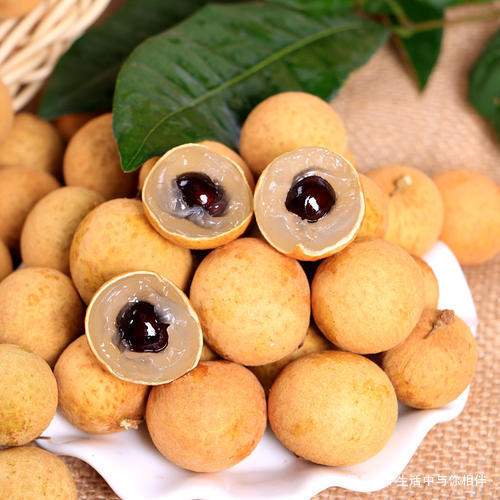 皱纹|爱美的女性最爱吃3种食物,补充营养、淡化皱纹,早吃早好!