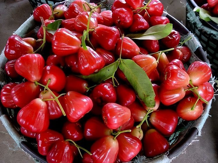 营养物质|超市常有的3种食物,排毒养颜、延缓衰老,早吃早好!