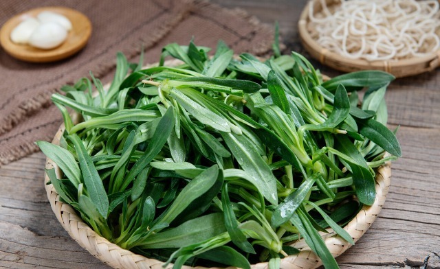 马齿苋|开春挖野菜，送你“野菜大图鉴”，教你轻松识别20种野菜