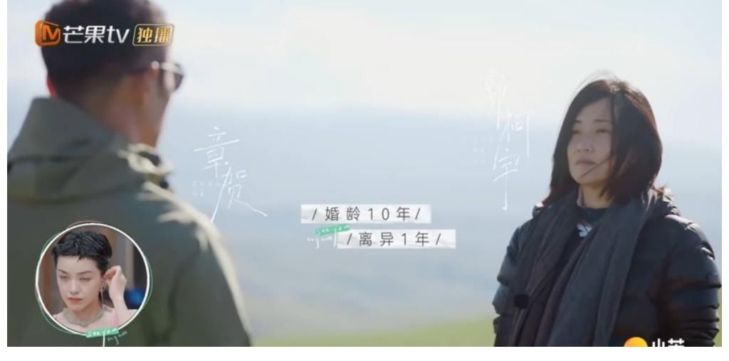 沈奕斐|國內首檔離婚綜藝《再見愛人》播出：結婚容易，生活很難