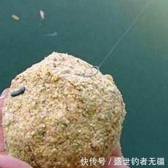 黑坑钓鱼,鱼口不好?教你如何让黑坑鱼儿乖乖开口——盛世三渔