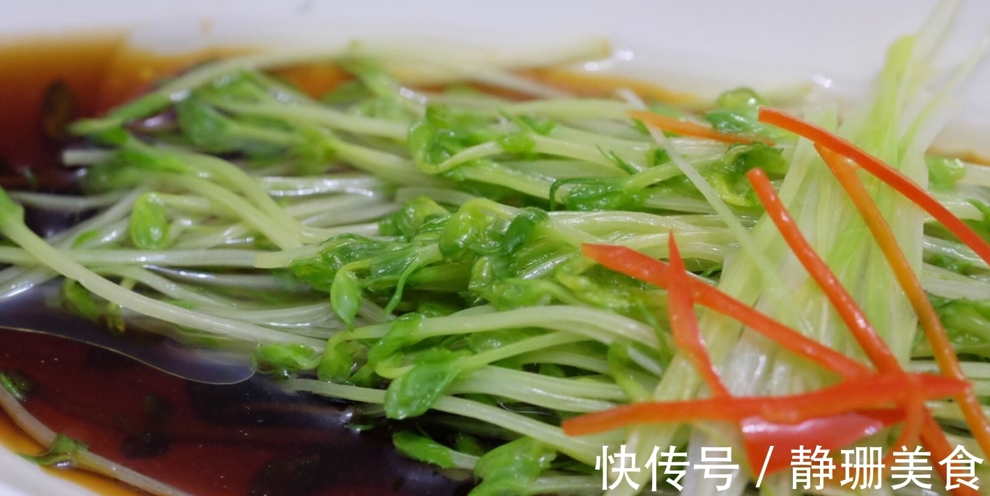 豌豆苗|豆苗5种最好吃的做法,每种都简单美味,看看你喜欢吃哪种?