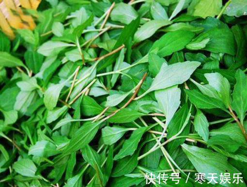 清热解毒|好食物吃出好身体，常吃3种蔬菜，营养丰富，滋补回春，早吃早好