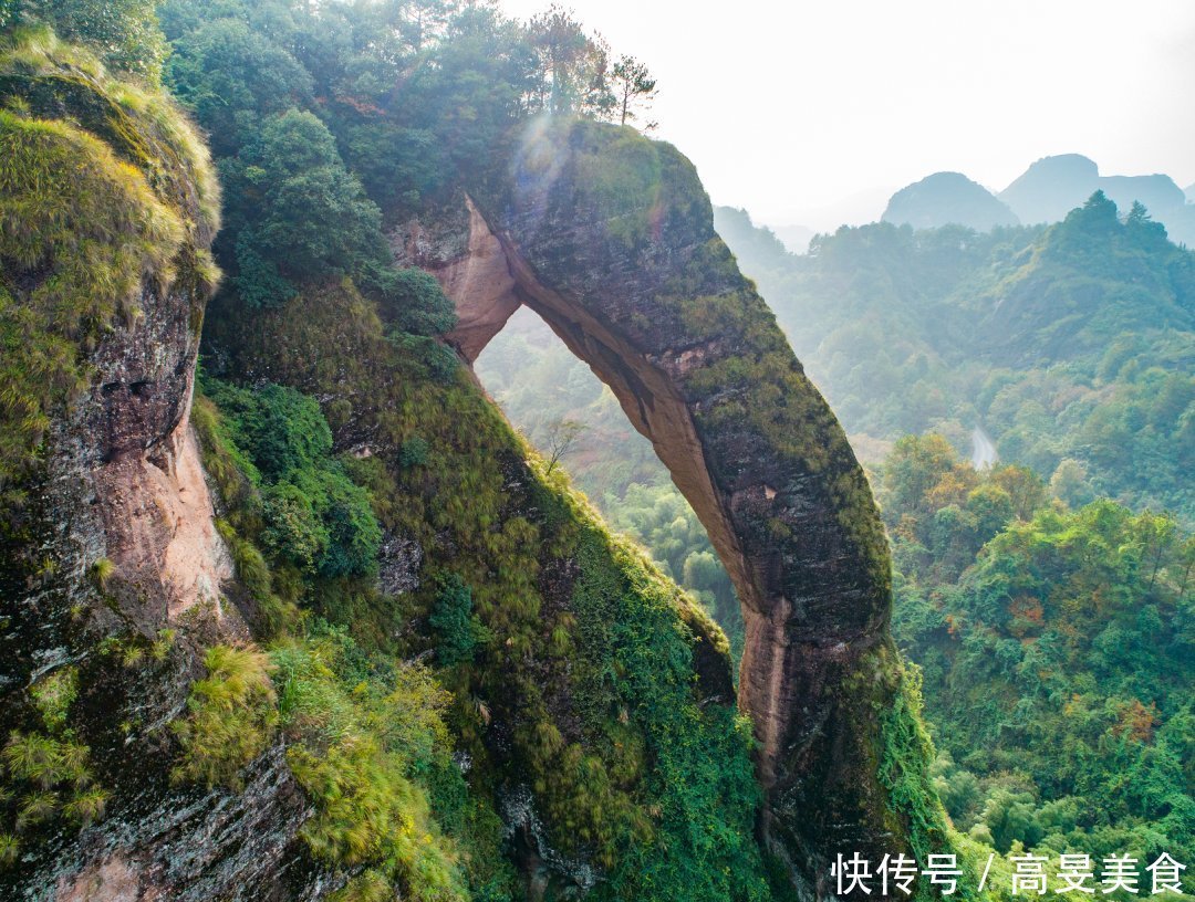 “天下第一象”背后的故事，竟然这么感人！