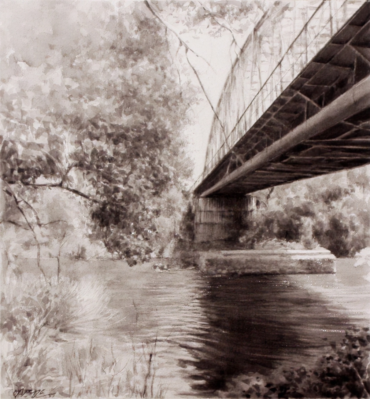 素描&唯美写实的素描,西班牙艺术家Miguel Angel Oyarbid笔下的树