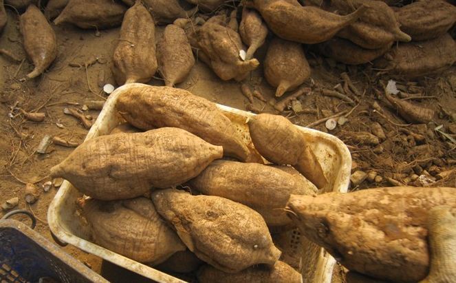 胡萝卜|女人绝经后，常吃3种食物，助你养好卵巢，延缓衰老，显年轻