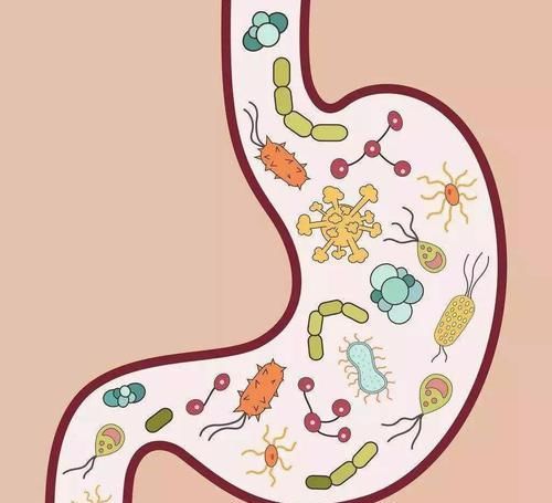  肠胃|体内湿气重的3大原因，希望你一个也不占