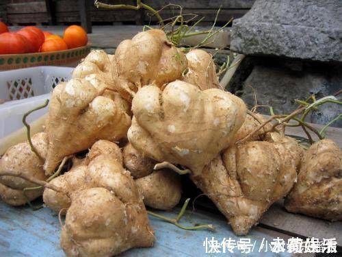 凉薯|女性10种食物经常吃,排毒瘦身,滋养皮肤,轻松拥有小蛮腰