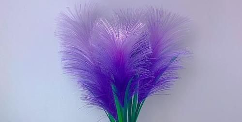 金黄色|紫色丝带芦苇花火了，试着给金黄色的丝带抽个丝，成品也很赞