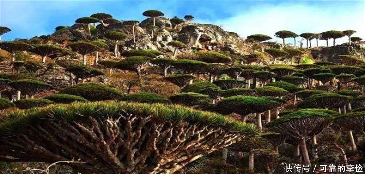 城市 地球上最孤立的地方：一个只有500人居住，一个是最高的城市