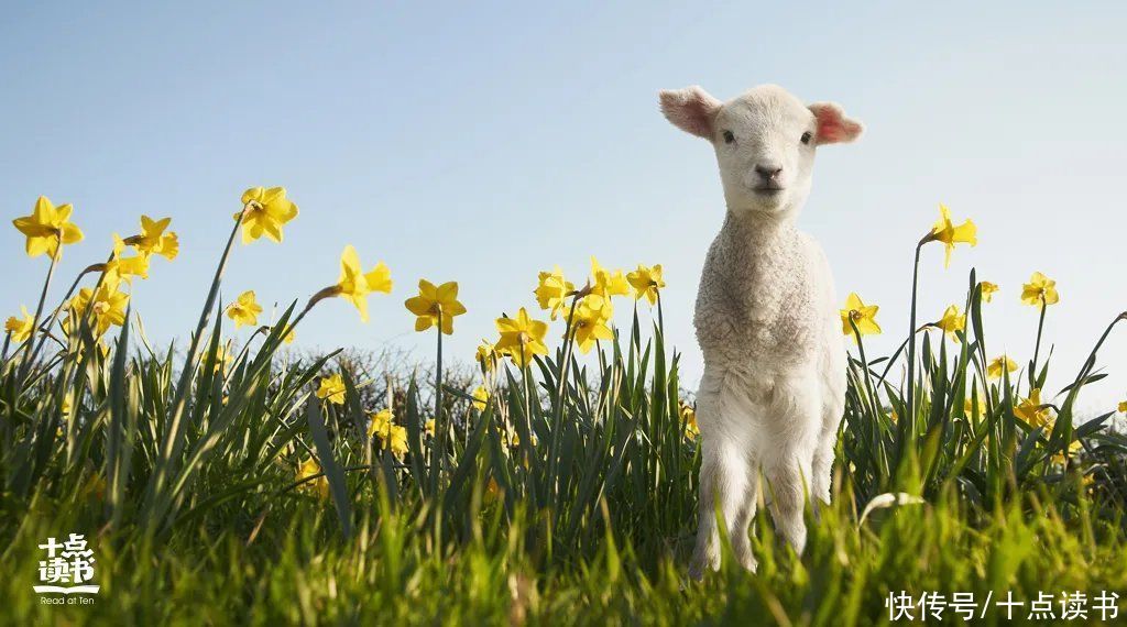 齐国|一个人最大的本事，是不把自己当回事