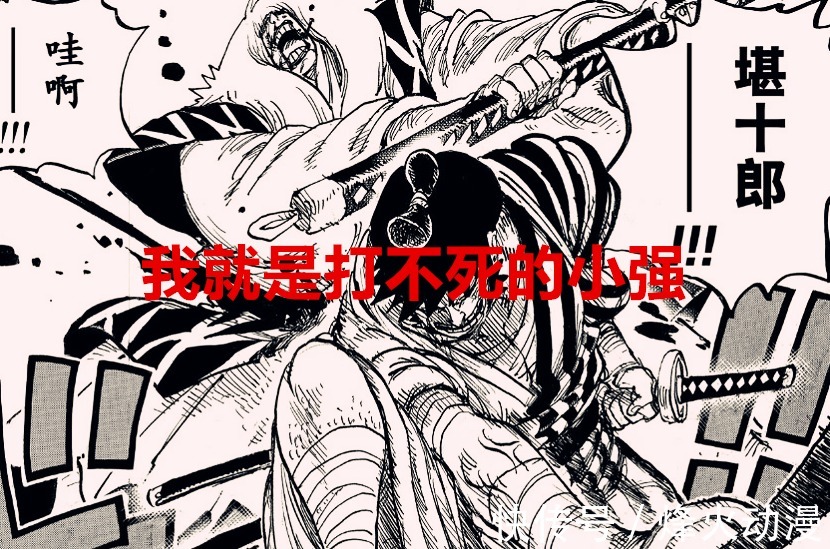 路飞|海贼王1030话:堪十郎又复活,尾田在愚弄网友?霸气惨遭无视了