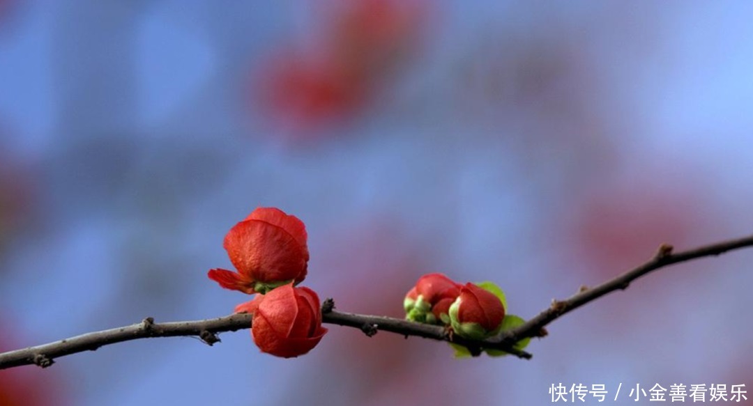  【诗词鉴赏】阳春三月，春日方好，不如在诗词里一起拥抱春天！