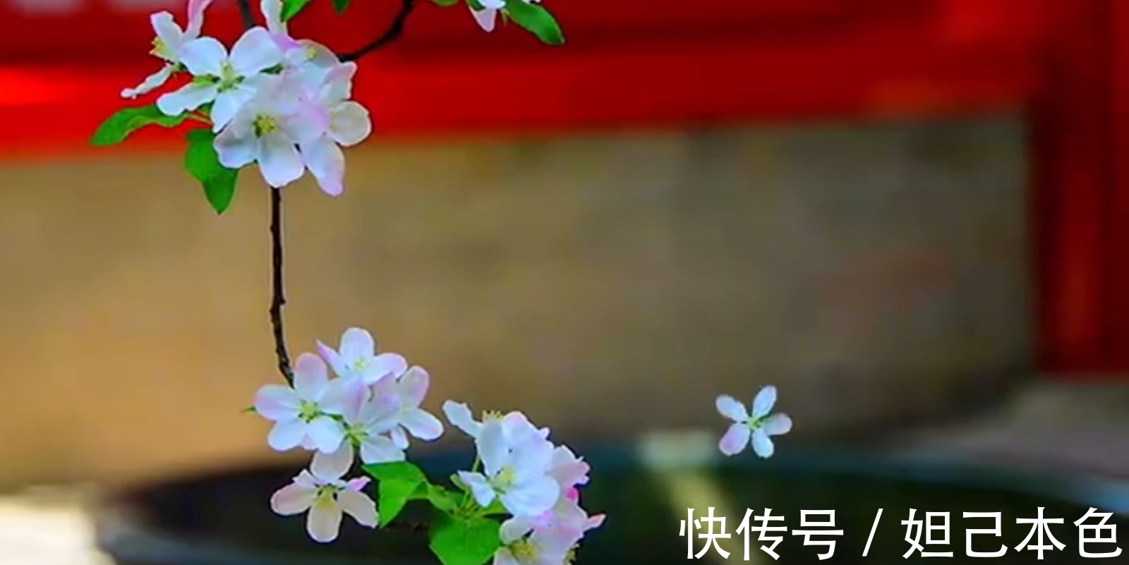 满庭芳&秦观一首兼具音韵美、诗意佳、画境幽的压卷小令,读之如飞花入梦