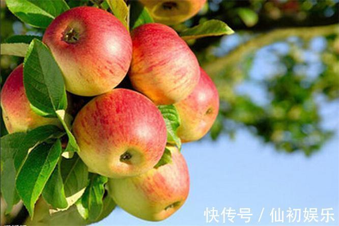 延缓衰老|很有营养的3种食物,恢复青春、延缓衰老,爱美女性早吃早受益