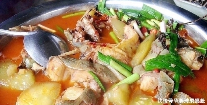 被“误会”最深的鱼,1斤4元无人吃,却比鲤鱼好吃比鲫鱼营养