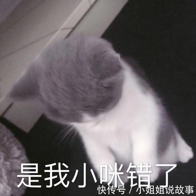 |搞笑表情包更新:再坚持坚持,一辈子很快就过去了