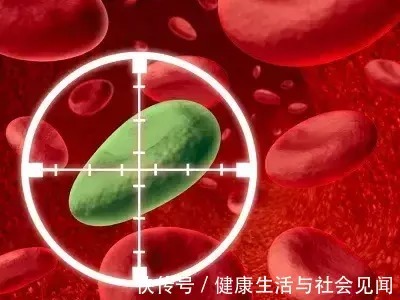 小蓟|血小板减少能治好吗?为什么有的病人会死?