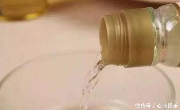 成活率|家家都有的5种“生根水”，不花1分钱，没想到泡泡就能长出大白根