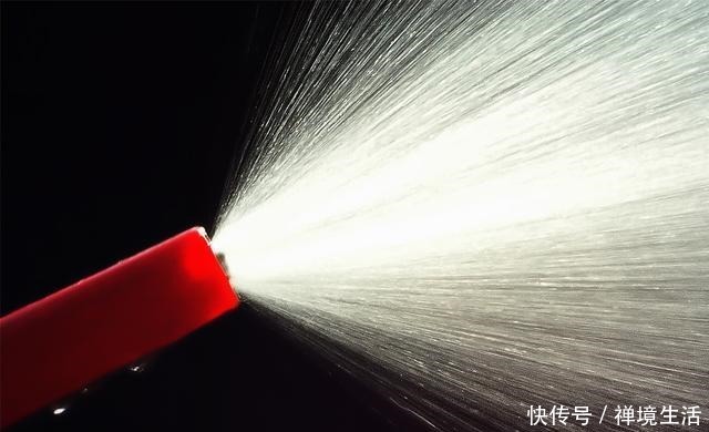 春天养兰花,3种情况下别喷水,否则就是“找死”!