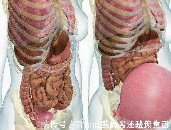 胀气|孕妇肚子胀气不消化,这几个方法能快速排气促消化,胎宝发育好