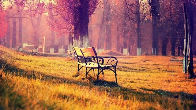 写景$杜牧最精美的写景唐诗,前2句存在争议,最后一句7个字脍炙人口