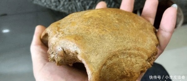 脑壳|脑壳发凉,这玩意儿也是文玩吗