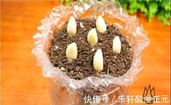 食用油|空油桶不要扔，剪成两半放阳台，美观又实用，隔壁邻居见了都夸妙