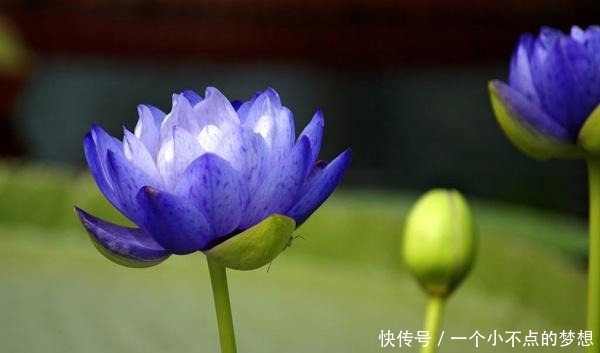 做人,别干4种“傻事”,方为处世的“高手”