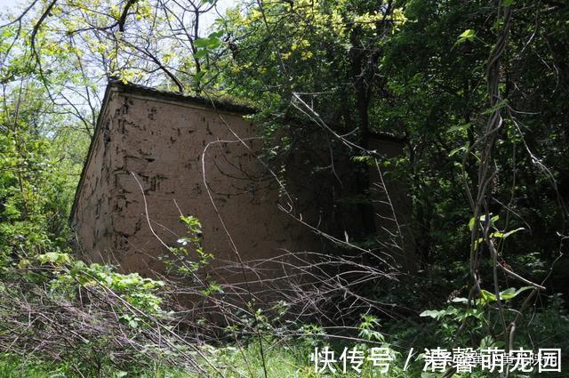 秦岭大山|好诡异！独自徒步空无一人的秦岭大山，突然出现一栋荒废的老屋