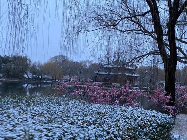 醉东风|2021年第一场雪，圆明园春雪风光