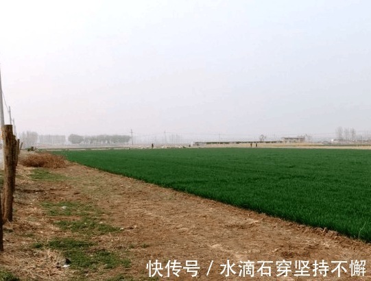 皇陵!实拍北洋之虎冯国璋墓 堪比皇陵如今破败, 看到墓碑上的字你不生气么!