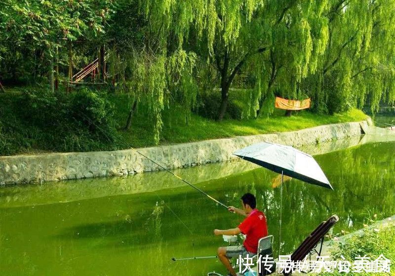 线组|钓鱼千万不要跟新手抬杠，因为根本抬不住