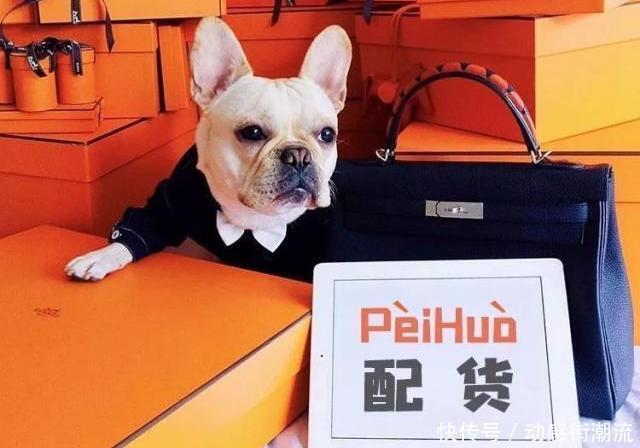 包神日记丨关于爱马仕“配货”,你了解多少