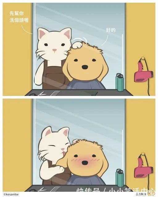 |段子今年最惨的家庭:老公房产中介失业,老婆教培行业失业…