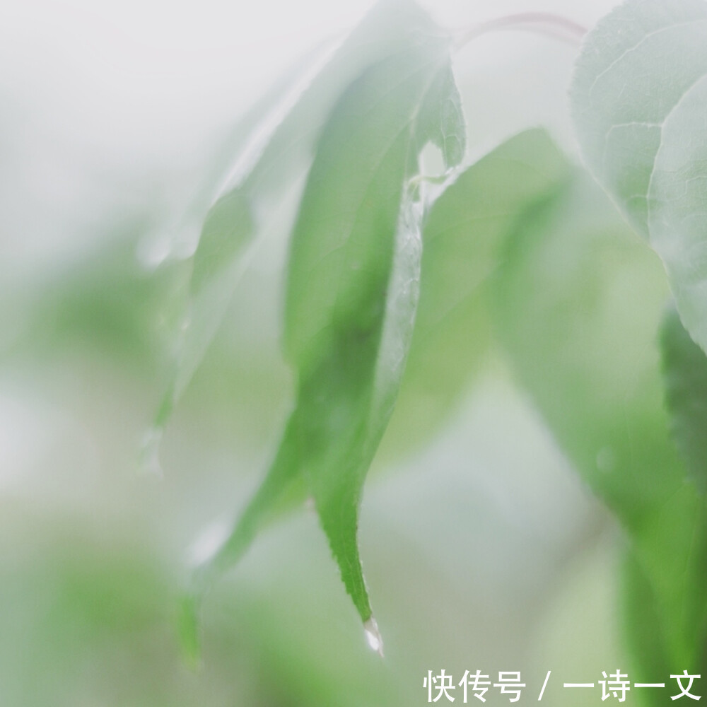 眼处|山川历遍,不及你眉眼,抬眼处四方寂静,如冬雪消融,刹那心动